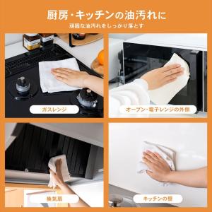 コーナンオリジナル LIFELEX 業務用油汚...の詳細画像3