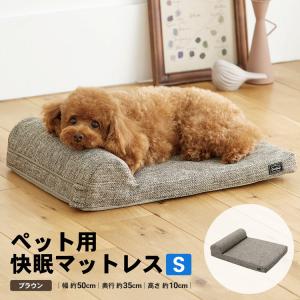 キンペックス ドラゴンペッカリー スタンダードホース付 温風／エア