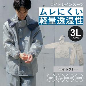 ◇コーナン オリジナル PROACT（プロアクト） ライトレイン