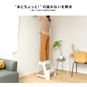 【ポイント3倍 8/15-8/16】踏み台 2...の詳細画像1