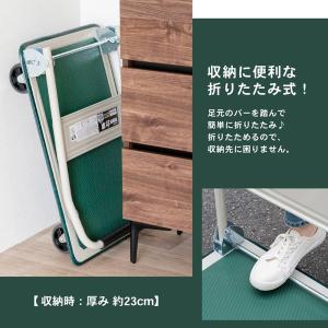 【ポイント5倍 3/5(木)〜】台車 家庭用 ...の詳細画像2