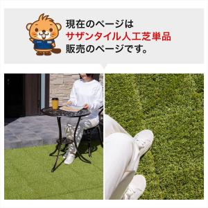 コーナンオリジナル LIFELEX サザンタイ...の詳細画像1