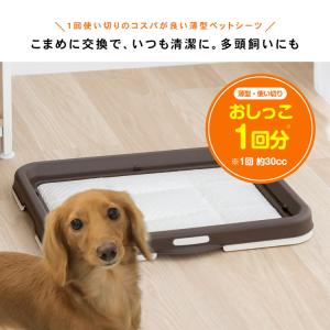 コーナンオリジナル LIFELEX 薄型ペット...の詳細画像1