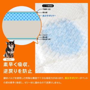 コーナンオリジナル LIFELEX 薄型ペット...の詳細画像3