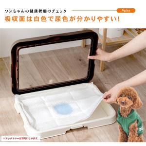 コーナンオリジナル LIFELEX 薄型ペット...の詳細画像4