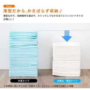 コーナンオリジナル LIFELEX 薄型ペット...の詳細画像5