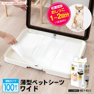 コーナン オリジナル 薄型 ペットシーツ こまめに交換用 ワイド 100枚