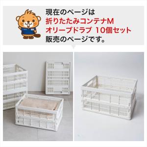 【ポイント3倍 8/15-8/16】コンテナ ...の詳細画像1