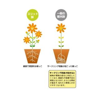 兼弥産業 スリットポット モスグリーン 径9×...の詳細画像3
