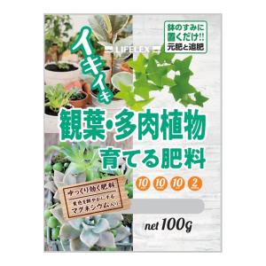 コーナン オリジナル 観葉多肉植物を育てる肥料 100g｜kohnan-eshop