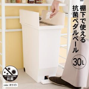 コーナンオリジナル 棚下で使えるペール 30L ...の商品画像