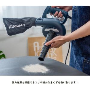 ブロワ AC ハンディブロワ 100V 送風 ...の詳細画像3