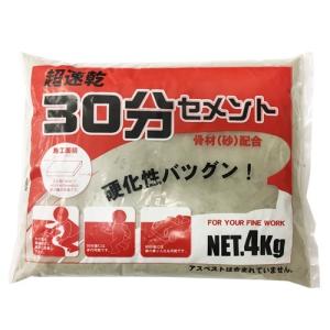 ハウスメンダー　３０分セメント　４ｋｇ｜kohnan-eshop