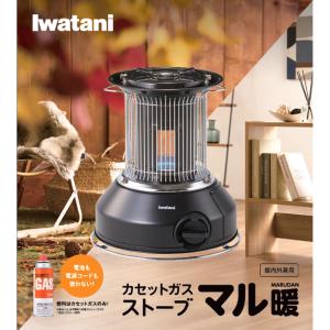 ダイニチ（Dainichi） ダイニチ工業 石油ファンヒーター FW