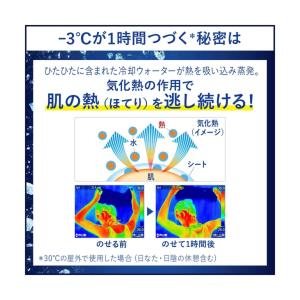 花王 ビオレ冷タオル業務品 無香性240枚の詳細画像2