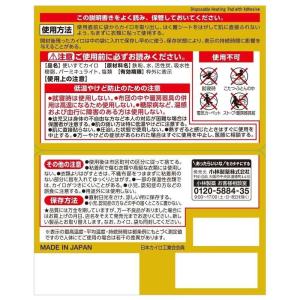 桐灰化学 桐灰カイロ 貼るミニ30Pの詳細画像1