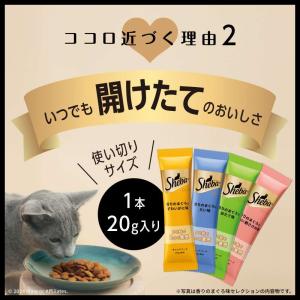 【ポイント3倍 8/15-8/16】シーバ デ...の詳細画像2