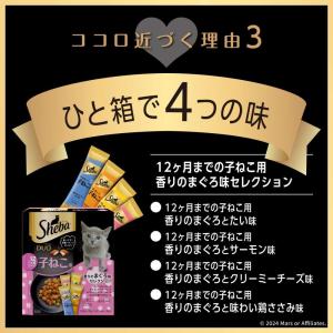 【ポイント3倍 8/15-8/16】シーバ デ...の詳細画像3