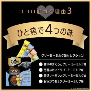 【ポイント3倍 8/15-8/16】マースジャ...の詳細画像3