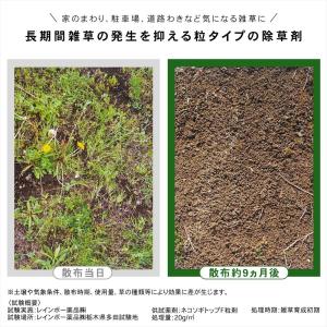 除草剤 ネコソギトップ F 粒剤 3kg 根こ...の詳細画像1