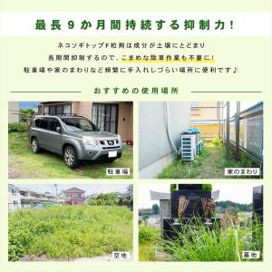 除草剤 ネコソギトップ F 粒剤 3kg 根こ...の詳細画像2