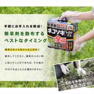 除草剤 ネコソギトップ F 粒剤 3kg 根こ...の詳細画像3