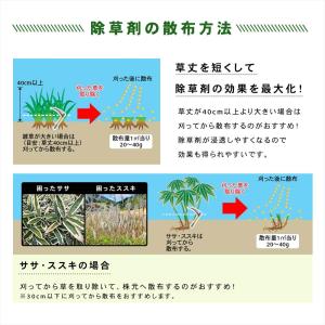 除草剤 ネコソギトップ F 粒剤 3kg 根こ...の詳細画像4
