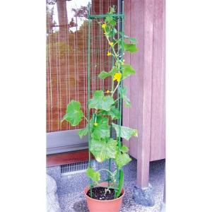 朝顔 支柱 園芸用品 の商品一覧 花 ガーデニング 通販 Yahoo ショッピング