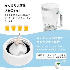 コーナン オリジナル PortTech ジュー...の詳細画像2