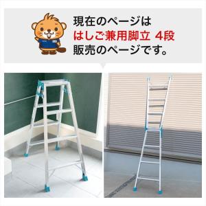【ポイント3倍 8/15-8/16】はしご兼用...の詳細画像1