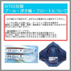 プール INTEX インテックス ビニールプー...の詳細画像5