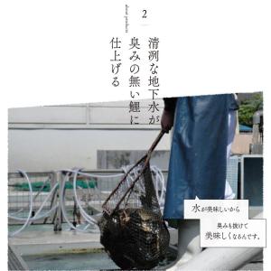 鯉のやわらか煮 山形 郷土料理 鯉の甘煮 甘露...の詳細画像4