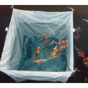 松田漁具 生けす網 No.24 縦1m横1m深さ1m （青/網目4mm/ポリエチレン）　送料無料(但...