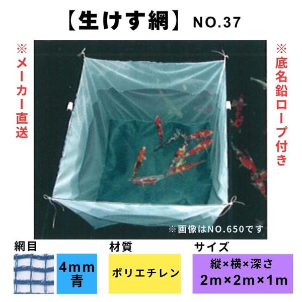 松田漁具 生けす網 No.37 縦2m横2m深さ1m （青/網目4mm/ポリエチレン）