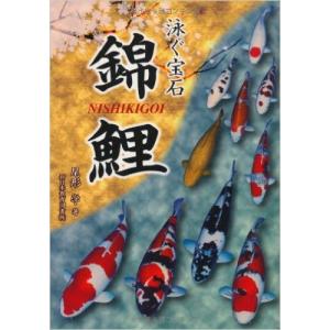 錦鯉 月刊誌 『鱗光』 最新号 : コイモール・ドットコムYahoo!店