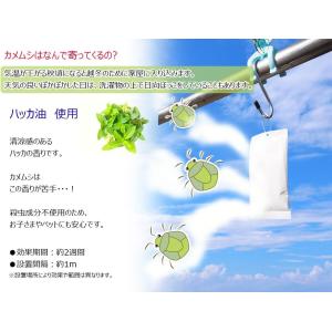 カメムシ 御免! 置く 吊るす 5包 + 吊り...の詳細画像4