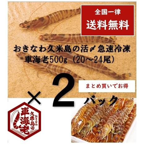 車海老500g　20-24尾　×　２パック　沖縄久米島　久米総合開発　活〆急速冷凍　送料無料　大　1...