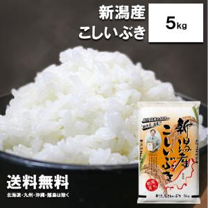 田中米穀 新潟産 こしいぶき 5kg  新潟 新潟産 新潟米 白米 ご飯 令和3年度産