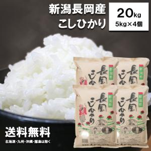 アナスタシア 新米 20キロ 令和7年新米】コシヒカリ 玄米 20kg：埼玉県産のお米｜食べチョク