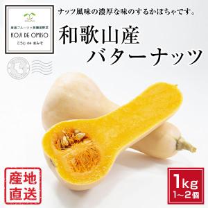 産地直送！和歌山産 バターナッツ  約1kg 1〜2個
