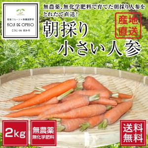 和歌山産 無農薬 小さい人参 約2kg ［］