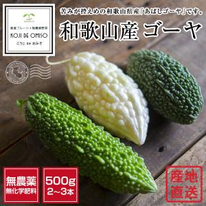 無農薬 和歌山産 ゴーヤ  500g ■期日指定不可・翌日受取限定：翌日お届け時間帯にご注意ください■