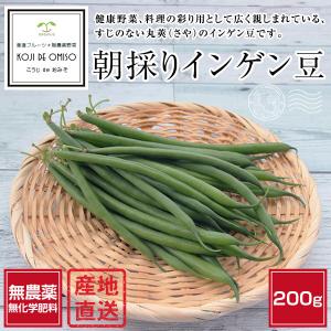 無農薬 朝採り 和歌山産 インゲン豆（いんげん豆） 200g