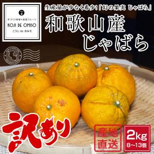 産地直送！ 和歌山産 訳あり じゃばら（ジャバラ）2kg ［送料無料］｜koji-de-omiso