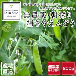 無農薬 和歌山産 朝採り 絹さやえんどう豆 200g ■期日指定不可・発送翌日受取限定：翌日お届け時間帯にご注意ください■｜koji-de-omiso