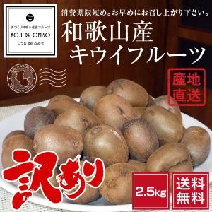 産地直送！和歌山産 訳あり キウイフルーツ ほぼS・SSサイズ 2.5kg ［送料無料］※食べ頃です。お早めにお召し上がり下さい。｜koji-de-omiso