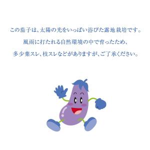 産地直送!和歌山産 水茄子(水なす) 1kg ...の詳細画像3