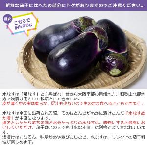 産地直送!和歌山産 水茄子(水なす) 1kg ...の詳細画像5