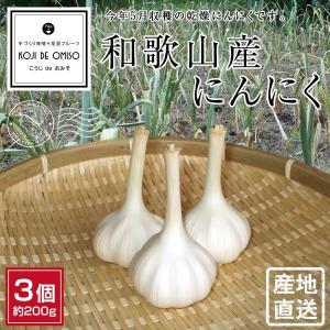 産地直送！和歌山産 にんにく 3個 約200g