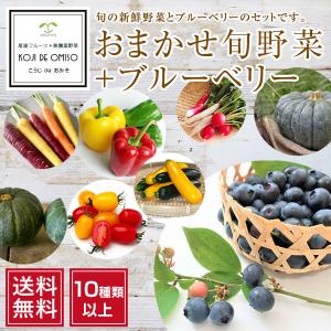 産地直送！ おまかせ旬野菜セット 10種類以上+ブルーベリー 約200g［送料無料］■発送翌日受取限定：翌日お届け時間帯にご注意ください■